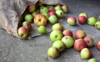 Why food waste matters and what you can do about it (in Parramatta !)