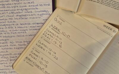 Bachelor of Sacrifice: Navigating Work Life Balance