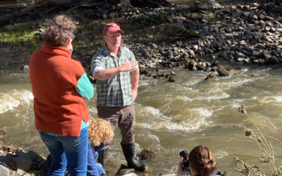 Citizen Science: How Western students can help scientists